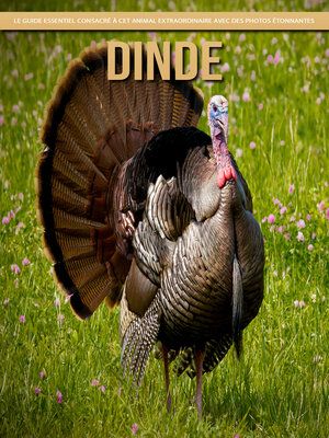 cover image of Dinde